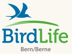 Birdlife Bern